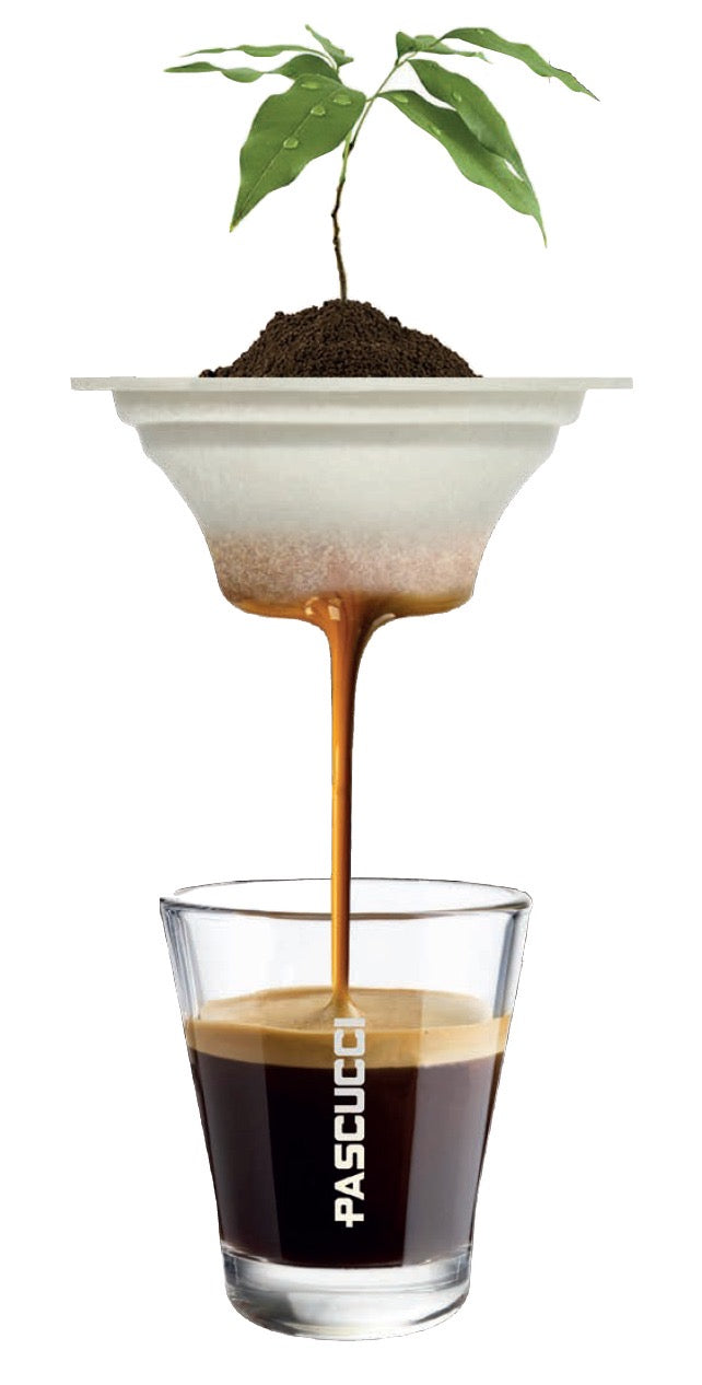 CAFEA DOLCE BIO 1.6  ÎN CAPSULA NIPPLE (60 BUC) – Costul unei capsule este 1.92 lei