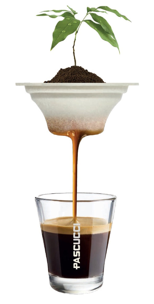 CAFEA & GINSENG 2.1  ÎN CAPSULA NIPPLE (60 BUC) – Costul unei capsule este 2.24 lei